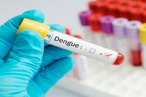 dengue