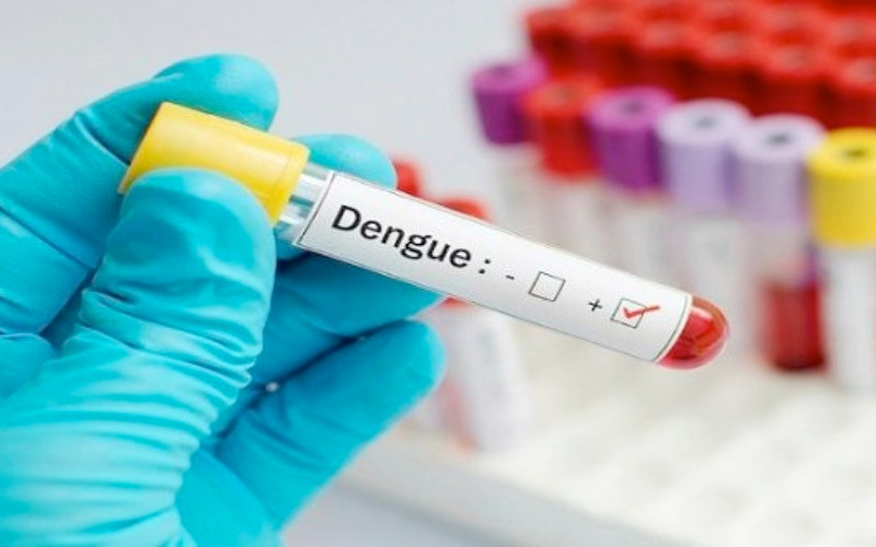 dengue