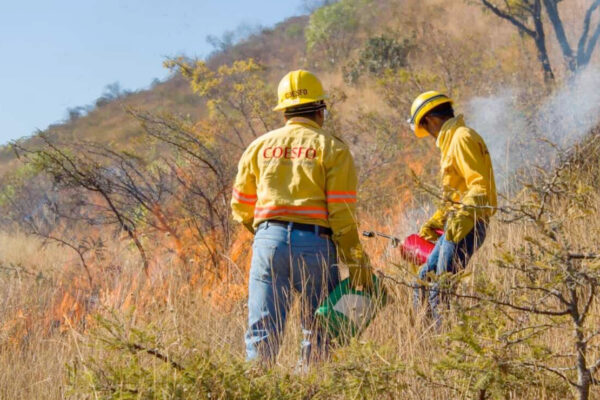 Incendio afecta 30 hectáreas de zona arqueológica de Monte Albán