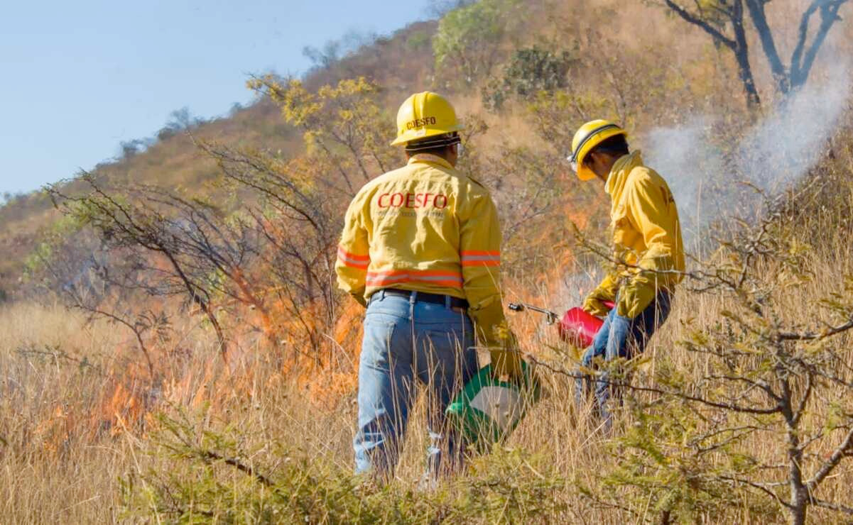 Incendio afecta 30 hectáreas de zona arqueológica de Monte Albán