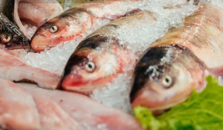 Recomendaciones para cuidar consumo de pescados y mariscos por Cuaresma