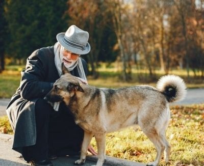 Adultos mayores y mascotas: nuevos negocios en franquicias