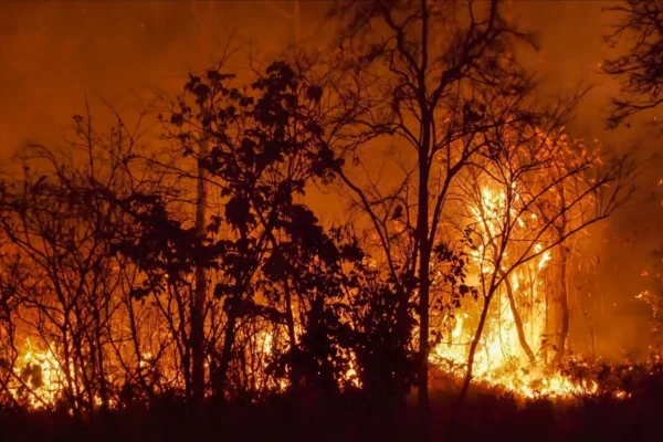 Incendio cerca de Africam Safari en Puebla