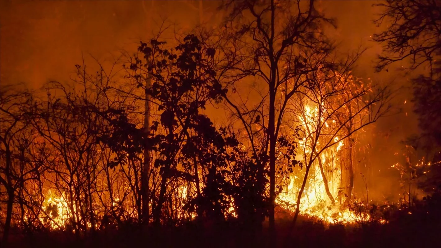 Incendio cerca de Africam Safari en Puebla