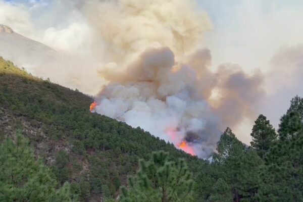 Más de 50 incendios forestales arrasan Oaxaca