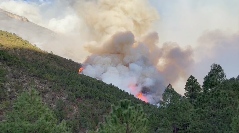 Más de 50 incendios forestales arrasan Oaxaca