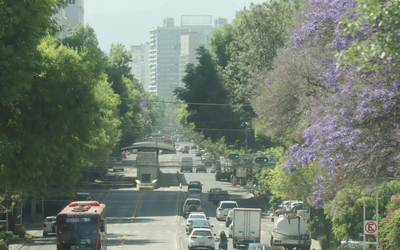 Doble Hoy no Circula