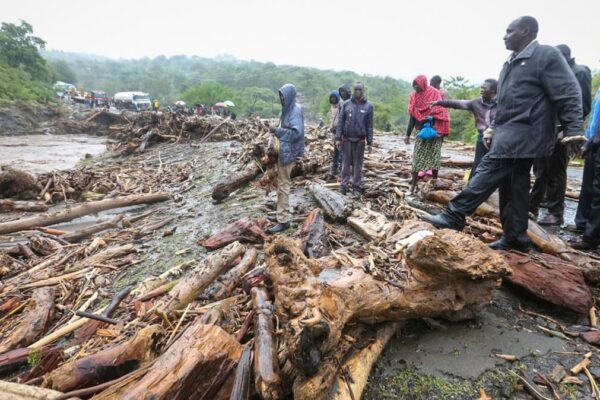 Tanzania y Kenia