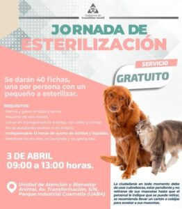 WhatsApp Image 2024-04-08 at 16.38.34