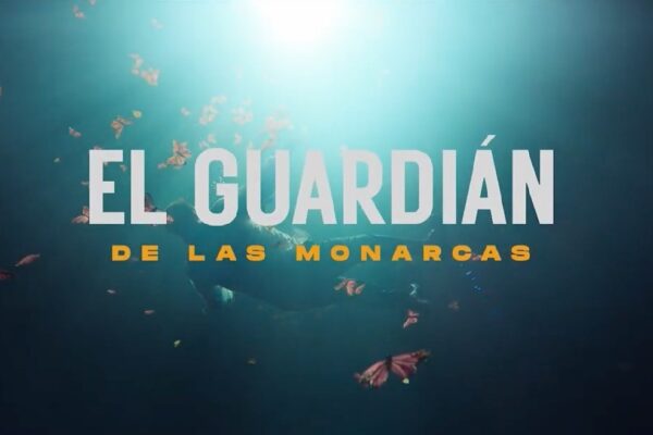 Revelan tráiler de "El Guardián de las Monarcas" en Netflix