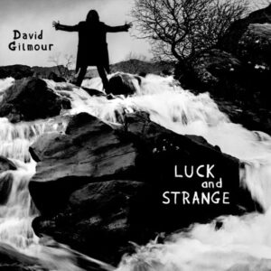 david glamour