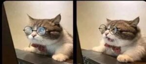 origen-meme-mira-en-tu-teclado-trend-viral-explicacion-2_11zon