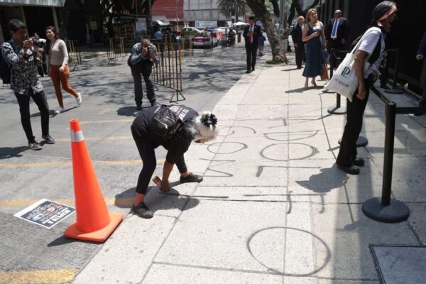 Protesta en el Senado por Maltrato Animal