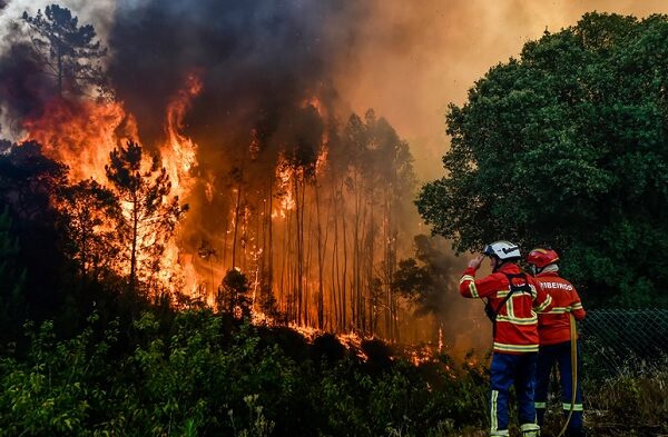 incendios forestales