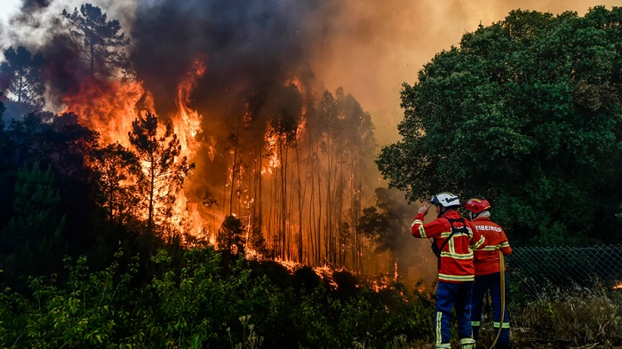 incendios forestales