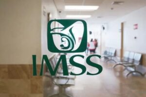 IMSS Seguro Social