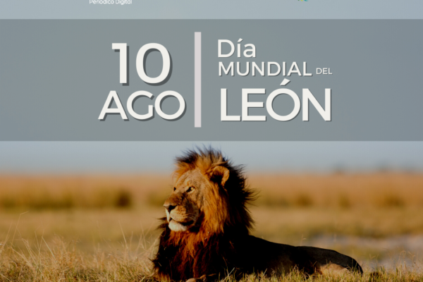 León