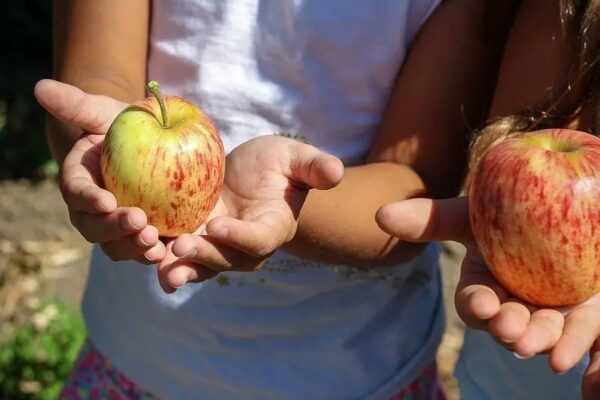 Alimentación infantil: "Don Cacahuato" revoluciona el consumo de frutas y verduras en México