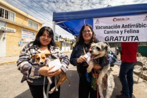 463296480_548396437735605_643955278357544793_n