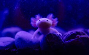 464268053_958656782974043_334632534835159043_n_11zon