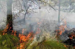 Imagen de WhatsApp 2024-10-21 a las 16.09.02_95af21f2_11zon