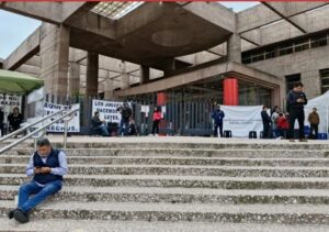 Imagen de WhatsApp 2024-10-24 a las 12.31.06_386a6a4f