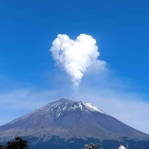 Imagen de WhatsApp 2024-10-24 a las 13.13.23_c5745474