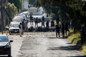 Imagen de WhatsApp 2024-10-24 a las 14.50.36_88ad30e4