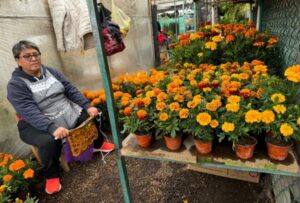 Imagen de WhatsApp 2024-10-24 a las 15.15.15_af922836