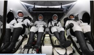 Imagen de WhatsApp 2024-10-25 a las 14.23.31_b1c1d33e