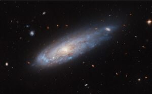 Imagen de WhatsApp 2024-10-25 a las 15.29.48_4e630409