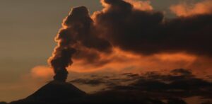 Imagen de WhatsApp 2024-10-25 a las 16.12.09_24395d7b