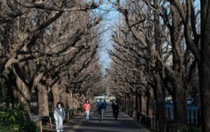 Imagen de WhatsApp 2024-10-28 a las 10.51.04_6fc9b570