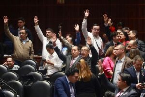 WhatsApp Image 2024-10-14 at 9.33.04 PM