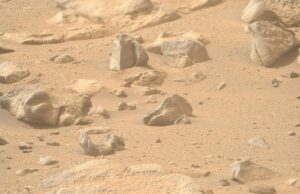 WhatsApp Image 2024-10-20 at 4.50.38 PM