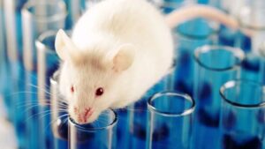 WhatsApp Image 2024-10-20 at 9.30.03 AM