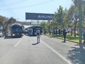 WhatsApp Image 2024-10-24 at 12.13.25 PM