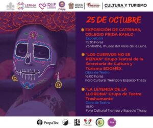 WhatsApp Image 2024-10-25 at 11.56.47 AM