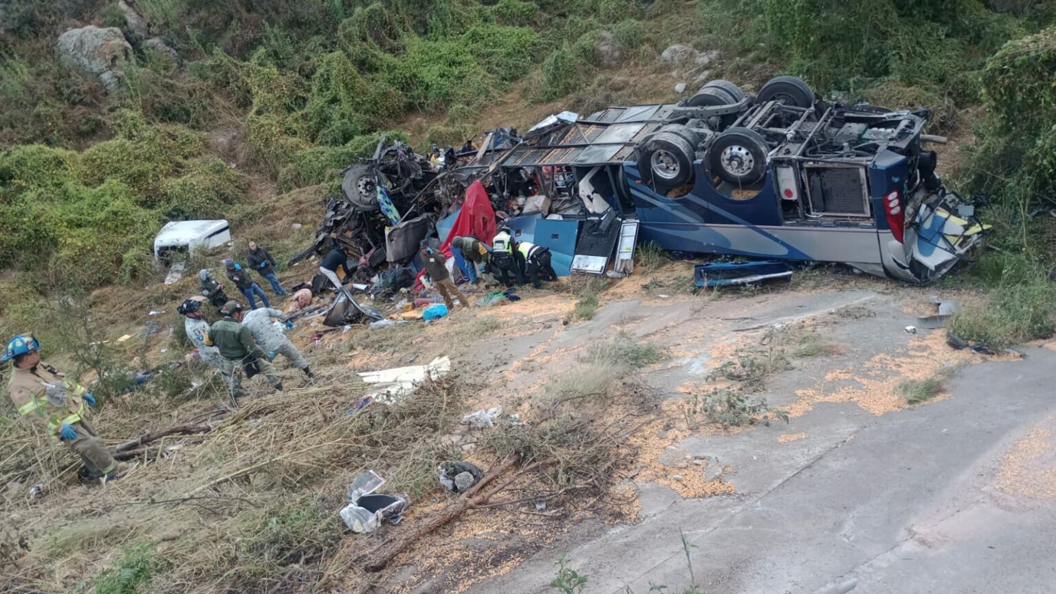 Trágico accidente en Zacatecas: 24 muertos y 5 heridos tras choque en carretera