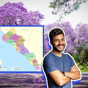 arbol-_sinaloa-_unam.jpg_375108069