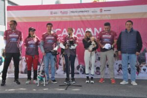 ca99401a-691a-407c-a0e3-56135b7afdf6