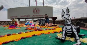 mega-ofrenda-unam-universum_11zon