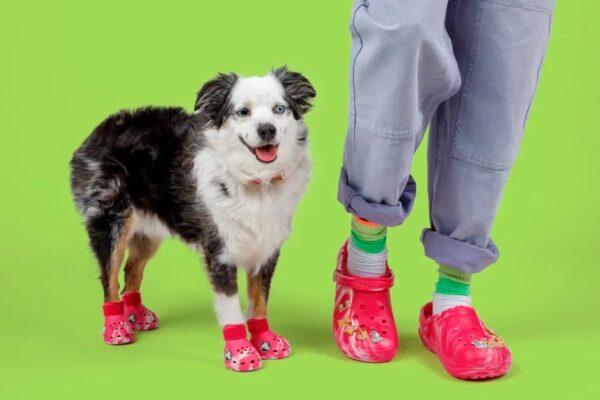 Crocs lanza sandalias exclusivas para mascotas