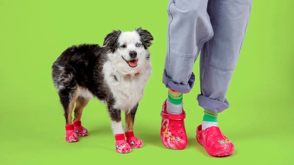 Crocs lanza sandalias exclusivas para mascotas