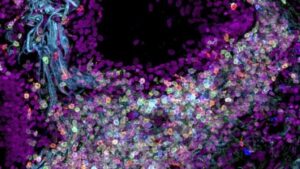 f685x385-211823_249516_5050