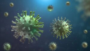gripe-aviar-h5n1_11zon