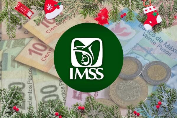 IMSS: aguinaldo y pensión de noviembre