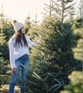 IMG-20241203-WA0155