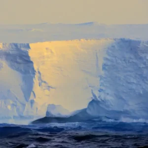 iceberg_5687b111_241214111309_800x800