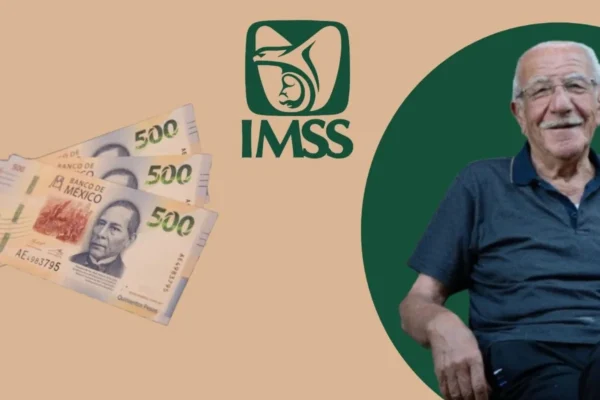 Pensión IMSS